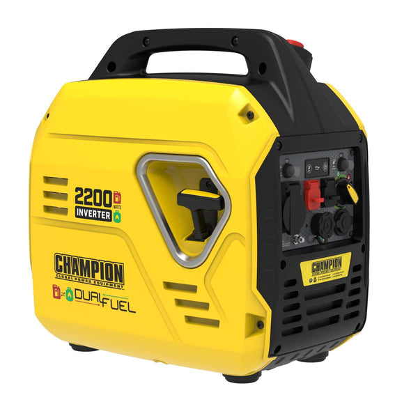 Dual fuel cheap portable generator
